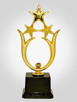 Metal Trophy   Award